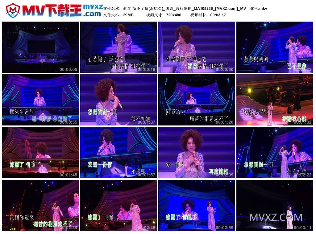 蔡琴-新不了情(演唱会)_国语_流行歌曲_MA105236